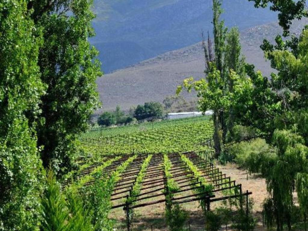 Mymering Wine & Guest Estate Ледисмит Экстерьер фото